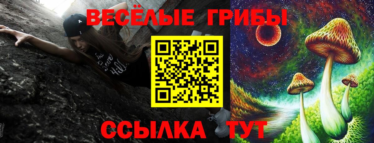 Галлюциногенные грибы ЛСД Красноармейск