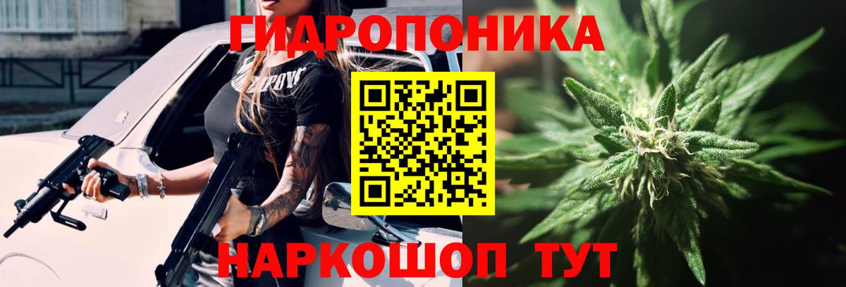 Канабис Bruce Banner Красноармейск